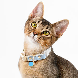 OEM Katzen halsbänder Nettes umwelt freundliches Halsband De Piel Sintética Para Gato Luxus Leder Breakaway Katzen halsband - Product Image 4