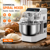 Pétrin professionnel à double bras 20L 30L pour boulangerie, machine à pétrir la pâte pour pain et pizza, pétrin à haute hydratation