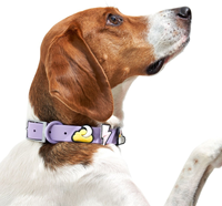 Collier et laisse pour chien et chat SinSky, imperméable, luxe, PVC, avec breloque en silicone, accessoires tendance.