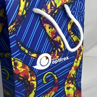 Sac en papier couché personnalisé avec logo estampé à chaud, emballage de luxe, sacs cadeaux personnalisés pour lunettes de mode