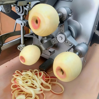 Commerciële elektrische appel schiller, ontpitter, snijder en appelkernmachine
