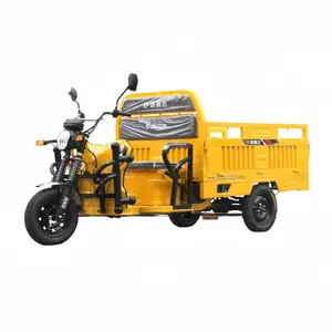 Hot Selling Heavy Duty Tricycle Battery Powered 1000W Electric Cargo Tricycle