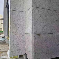 Dalles et Plaques de Granit Diamanté Gris Clair Naturel Poli sur Mesure Eastern Stone Century pour Revêtement Mural et de Sol – Garantie 5 Ans