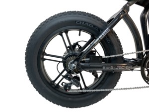 <span class=keywords><strong>2</strong></span> plazas 20 pulgadas 750w 1000w Super Ebike 73 eléctrica grasa neumático de la bicicleta de montaña DE SUSPENSIÓN COMPLETA Land Cruiser Ebike de crucero de playa bicicleta - Product Image 6