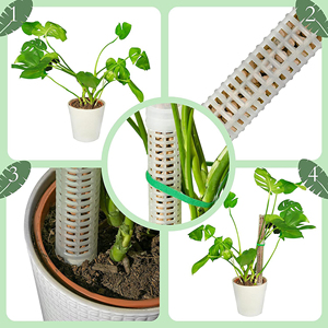 Cadre d'escalade pour plantes, tige de mousse empilable, tige de mousse en plastique creuse, tige de support pour plantes en pot - Product Image 4