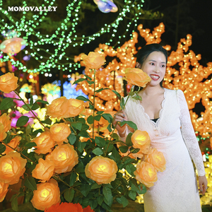 Luce LED fiore rosa Stand per decorazioni natalizie e feste all'aperto fiori luminosi per giardino & decorazione commerciale - Product Image 6