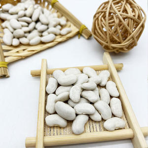 Nouvelle récolte <span class=keywords><strong>de</strong></span> gros <span class=keywords><strong>haricots</strong></span> <span class=keywords><strong>blancs</strong></span> en vrac, prix d'usine, haute qualité, vente en gros - Product Image 4