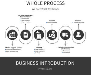 Services de transport internationaux de porte à porte DDP professionnels Agent d'expédition de fret logistique de livraison directe pour <span class=keywords><strong>FCL</strong></span> - Product Image 3