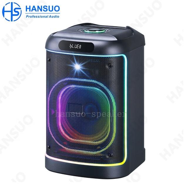 Hot Selling 8 Inch Portable Karaoke Speaker System Wireless Mic Multimedia DJ Boomboxes Subwoofer for Kareoke Parties