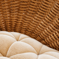 Lit pour chat en rotin PE tissé à la main, grotte semi-fermée pour chat avec coussin en peluche lavable pour chats et petits chiens, 54x32x33 cm