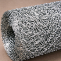 Grillage hexagonal galvanisé - Rouleau de grillage tissé galvanisé à chaud pour poulailler, clôture de jardin, construction avec dimensions personnalisées