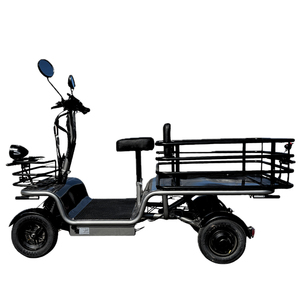 Voiture électrique intelligente pour adultes 2026 pour les services de livraison, les opérations agricoles et la gestion des installations - Product Image 1