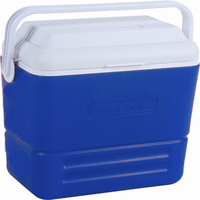 Ensemble de bidons isothermes 36L/0.7L avec poignée pour aliments, canettes, camping, transport d'eau, stockage, robinet, grande capacité, extérieur