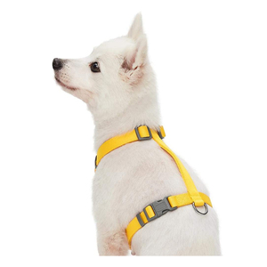 <span class=keywords><strong>Harnais</strong></span> réglable en Nylon de <span class=keywords><strong>harnais</strong></span> de <span class=keywords><strong>chien</strong></span> de couleur unie <span class=keywords><strong>classique</strong></span> de Logo fait sur commande en gros pour des chiens - Product Image 6