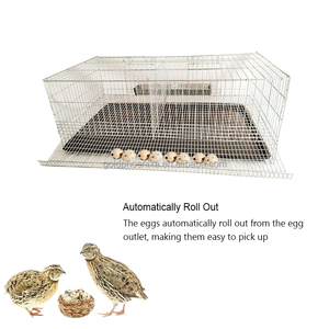 YYC Set Completo <span class=keywords><strong>Gabbia</strong></span> Automatica <span class=keywords><strong>per</strong></span> Allevamento Quaglie da Uova con Mangiatoia e Abbeveratoio - Product Image 2