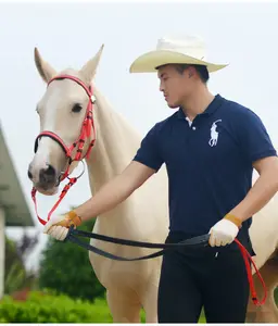 Pabrik Grosir Kustom Tahan Air Bekerja Kuda Barat Berkuda Kulit PVC Gesper Pengiring Pengantin Halter Penutup Kepala