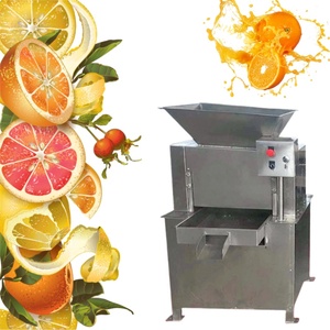 Spremiagrumi lento carota arancio - Product Image 1