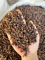 Clous de girofle entiers séchés de qualité supérieure, 50 kg, prix de gros, naturels, durée de conservation de 2 ans, Guangxi Chine, pour le marché mondial