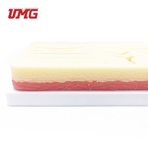 Medical Science Teaching Resources Durable Use Skin Silicone Suture Training <strong>Pad</strong> Model with Cut Wound - Product Image 4