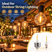 Prix usine extérieur résistant aux intempéries G40 guirlande lumineuse lampe à LED 120V E26 E12 ampoule en plastique sans scintillement Compatible avec guirlande lumineuse