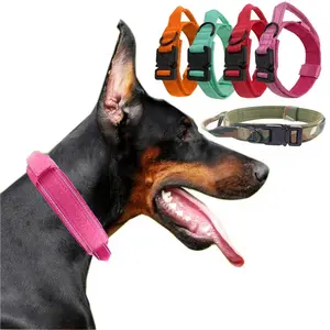 Accessori per cani 2024 vendita calda collare tattico per cani da esterno con fibbia in metallo pesante regolabile in Nylon collare per cani