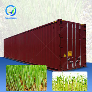 Conteneur de culture hydroponique en acier inoxydable OCEAN pour pousses de soja et de haricot mungo - Product Image 1