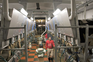 Lumière LED linéaire de 2 pieds 4 pieds 5 pieds avec efficacité de 140 à 170 LM/W, couvercle anti-éblouissement givré et résistant à la corrosion pour maison de vache - Product Image 5