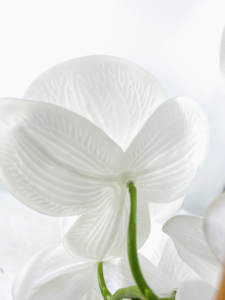 ดอกไ<span class=keywords><strong>ม</strong></span>้ประดิษฐ์เชิงพาณิชย์ขนาดใหญ่ราคาถูก <span class=keywords><strong>ร</strong></span>าคาขายส่ง<span class=keywords><strong>ส</strong></span>ำห<span class=keywords><strong>ร</strong></span>ับห้องนั่งเล่น - Product Image 3