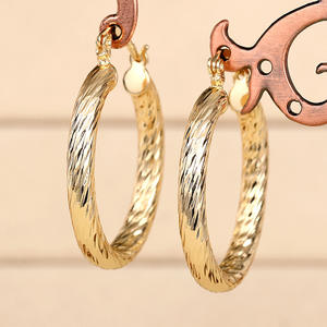 Lienne Boucles d'oreilles Golden Hoop en alliage de zinc, style classique, bijoux de mode unisexe E4430 - Product Image 5