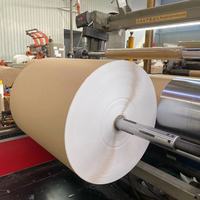 Rouleau de papier kraft enduit de PE imperméable pour gobelets en papier 280 g/m² 300 g/m²
