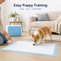 Tapis d'apprentissage hydrophiles écologiques imperméables non tissés pour chiots, avec noyau SAP à transfert rapide, barrière d'humidité PE, nettoyage OEM