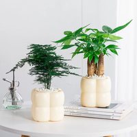 Pot de fleurs auto-arrosant en résine plastique épaissie, design à trois couches de bulles, respirant, translucide, résistant à la corrosion