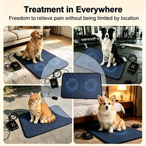 Tapis PEMF professionnel pour le confort corporel des animaux <span class=keywords><strong>de</strong></span> compagnie, outil d'entretien quotidien <span class=keywords><strong>auxiliaire</strong></span> pour les centres <span class=keywords><strong>de</strong></span> physiothérapie animale - Product Image 2