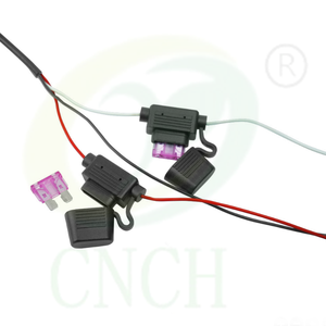 Cablaggio Completamente Connettore a 24 PIN con 2 Interruttori Seriali, LED, Buzzer, 1BB MCP, Cavo GPS, Cablaggio AVIGRAPH - Product Image 3