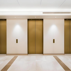 <span class=keywords><strong>Ascensor</strong></span> <span class=keywords><strong>de</strong></span> Pasajeros con Accionamiento <span class=keywords><strong>de</strong></span> CA <span class=keywords><strong>sin</strong></span> Engranajes Personalizado con Piso <span class=keywords><strong>de</strong></span> PVC, Proveedor OEM/ODM <span class=keywords><strong>de</strong></span> Fábrica China - Product Image 1