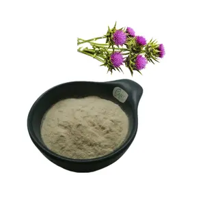 Plantaardige Levering Supermelkdistel Extract Poeder Melkdistel Extract Melkdistel Extract Mariadistelzaad Extract