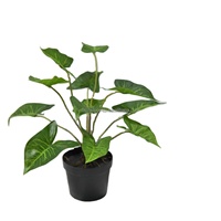 Bonsai Sutera Buatan Kecil Scindapsus Ivy Epipremnum Aureum Green Pothos 40cm Hiasan Meja Dekorasi Rumah Pernikahan Natal