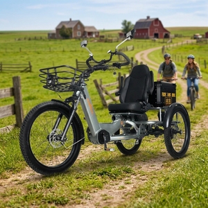 Nouveau Tricycle Électrique 2026 à Longue Portée (250 km), Vélo <span class=keywords><strong>Cargo</strong></span> Électrique 1750W 48V à Moteur Central pour 2 Personnes, Scooter Électrique à Trois Roues - Product Image 1