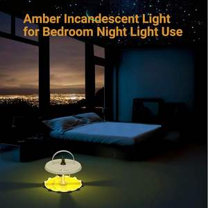 Solution de contrôle des puces d'intérieur avec piège à lumière électronique Idéal pour les bombes anti-puces et les tueurs pour une gestion efficace des parasites à la maison - Product Image 4