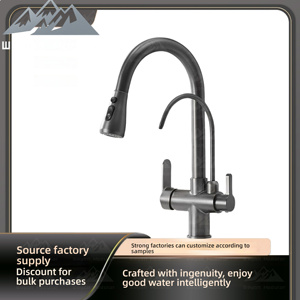 Смеситель для кухни Wayon Modern 2-в-1, цвет оружейной стали, из цинкового сплава, с выдвижным изливом-распылителем и фильтром для воды, модель Project WW-CFLT - Product Image 2