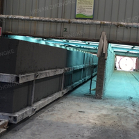 Machine de bloc de ciment ACC haute capacité construction rapide ignifuge usine de fabrication de briques automatique AAC faisant la découpeuse