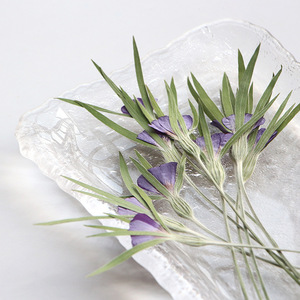 <span class=keywords><strong>Fleurs</strong></span> de Corncockle Séchées Naturelles avec Tiges – Fourniture en Gros de Plantes Pressées pour Bijoux en Résine et Matériaux de Bricolage - Product Image 1