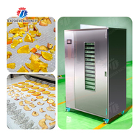 Energiebesparende, stille, automatische elektrische fruit- en groentedroger voor thuiskeuken en kleine catering- en snackwinkels