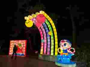 Lanternes de fleurs décoratives de spectacle de lumière chinoise Lanterne de champignon extérieure - Product Image 3