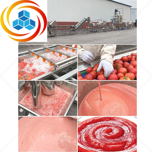 Ligne de production de ketchup et de purée de tomates ORME avec stérilisateur alimentaire et mélangeur, machine automatique en acier inoxydable 304 - Product Image 4