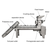 Automatische granaatappel schiller, ontpitter en zaadseparator