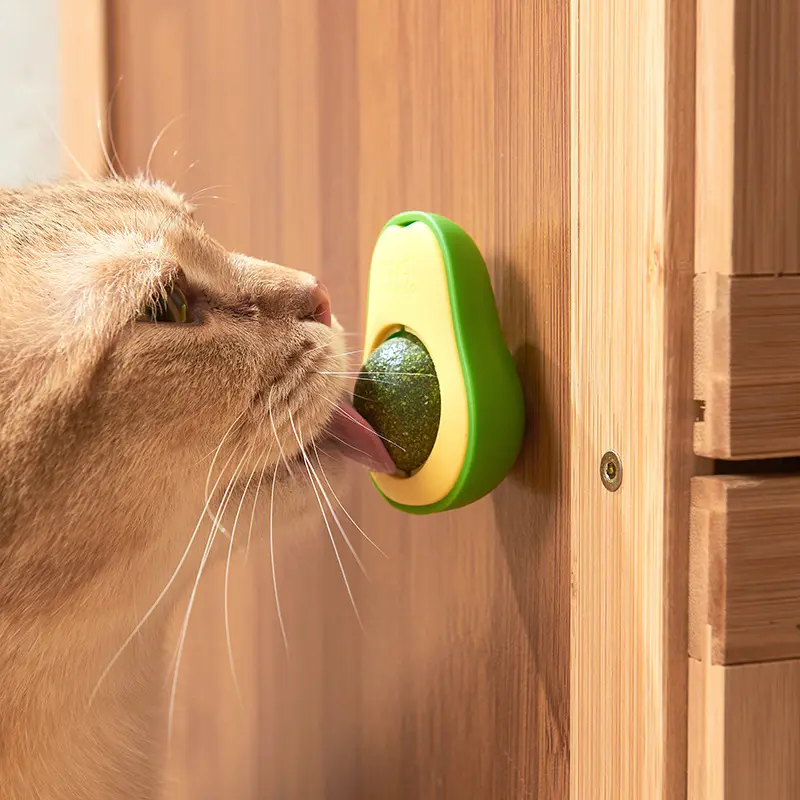 Set bola alpukat Catnip mainan kucing buah Gall gigi keras membersihkan gigi dari bola mainan kucing tinggi