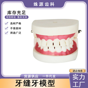 Dental preparation practice model, interdental <b>gap</b> model, tooth preparation model, teaching implant model, denture props - Product Image 5