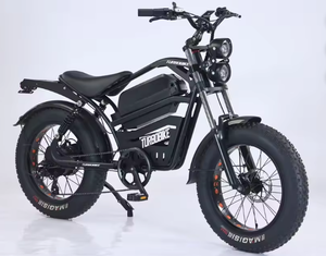 Bicicleta Eléctrica Modelo Harley Retro para Desplazamientos Urbanos, Motor de 500W/250W/1000W, Batería Integrada, Alcance de 60 km - Product Image 2