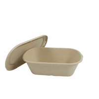 Boîte à lunch jetable en bagasse 100 % biodégradable pour la rentrée scolaire
